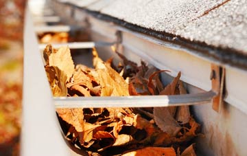 Garmouth gutter cleaning companies