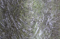 Garmouth fibreglass roof work